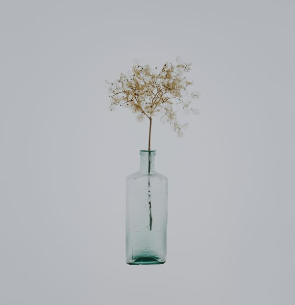 annie-spratt-sIBjeuEqMFE-unsplash Aliquam Ododiam