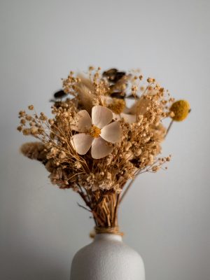 Faucibus Ornare