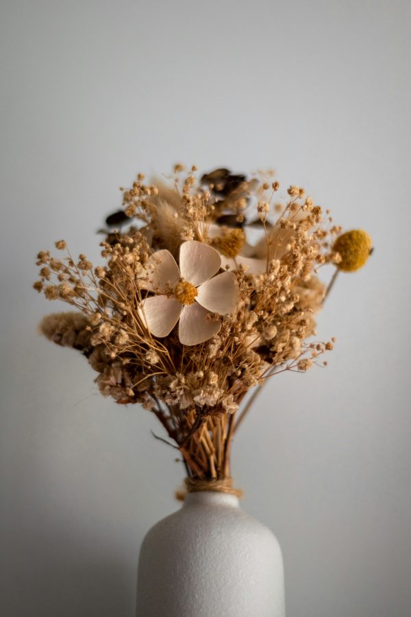 bryan-heng-CVJAv2E7WE0-unsplash Faucibus Ornare