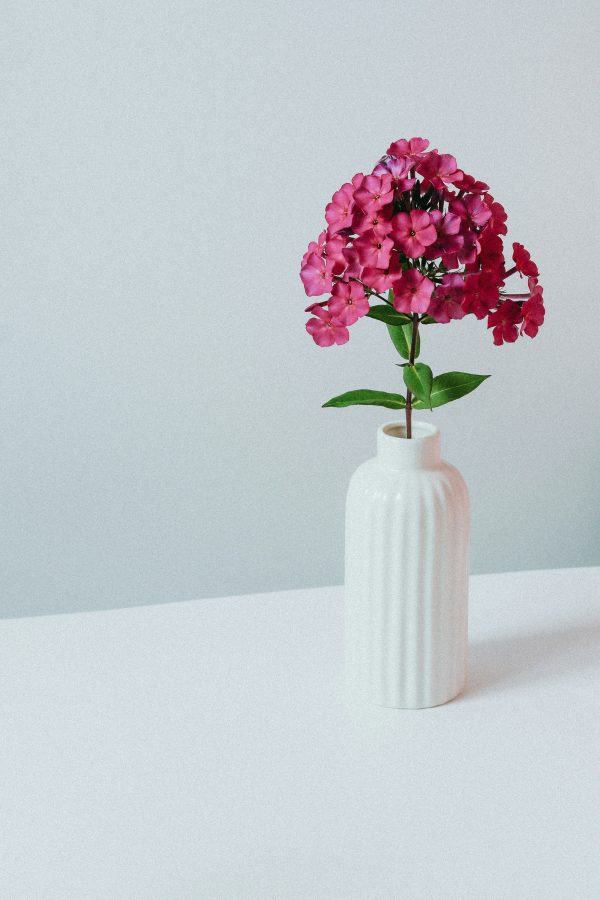 jei-lee-WH7nBFW9AZo-unsplash Quis Viverra